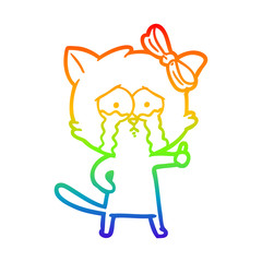 rainbow gradient line drawing cartoon cat