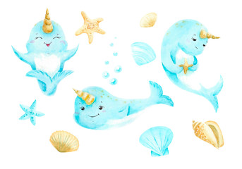 Watercolor set of sea animals. Cute narwhals, seashells and starfishes © Любовь Зажигина
