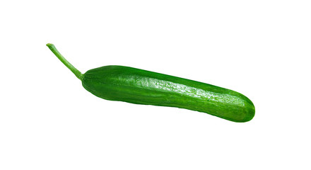 Green fresh cucumber isolated on a white background