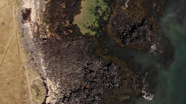 Iceland drone top down footage on the Ytri Tunga seal beach near the ocean in beautiful sunny spring weather