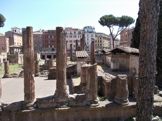   Largo di Torre Argentina. Roma, Italia © Jola i Darek 