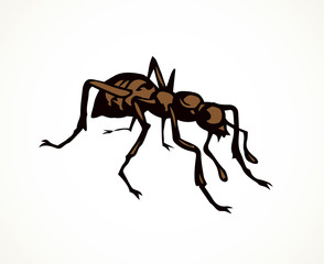 Ant. Vector drawing
