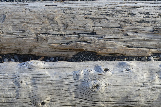 Driftwood along a beach in Victoria, Canada