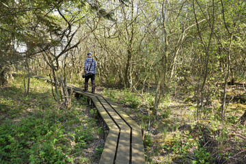 Man walking on a wooden foot-bridge in a nature reserve