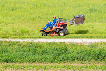 Mature man driving grass cutter in a sunny dGardener driving a riding lawn mower in a...