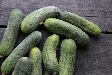 Fresh ripe cucumbers lie on the table