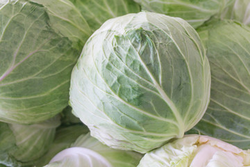 Fototapeta premium Green cabbage or headed cabbage at vegetable market.Organic vegetable at freshness atmosphere farm.vegetarian food cooking.Healthy food high fiber.