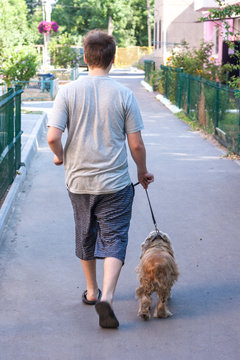 A Young Guy Is Walking A Dog Cocker Spaniel On A Leash. View From The Back. Pet Care Concept.