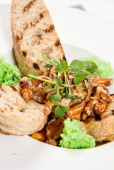Fresh chanterelles fried with gorgonzola cheese on the green moss with croutons