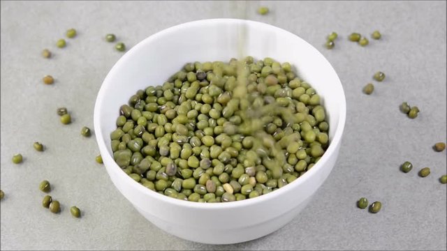 Filling mung bean also known as moong dal in a bowl