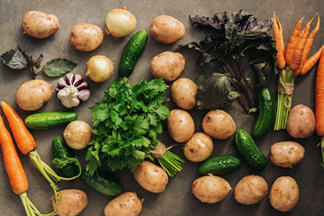 Fresh raw vegetables of the new crop, potatoes, onions, carrots, garlic, cucumbers, basil and parsley on a dark rustic background. Top view, flat lay.