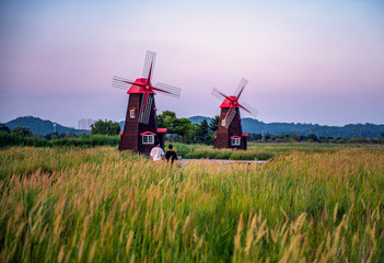 Fototapeta premium windmill in korea