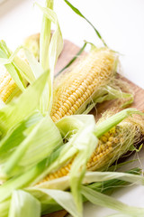 Fresh Corn on white table. ear of corn. Summer concept