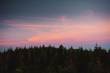 Colorful purple sky over the mountain top with pine forest. Torfhaus, National Park Harz in Germany