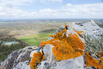 paisaje visto a traves de la cima