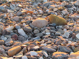 Strandsteine