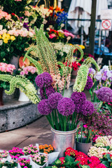 Sale bright flowers in the flower market