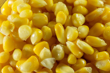 Yellow steamed corn grains. Steamed corn as a concept of a vegan food.