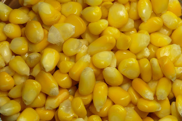 Yellow steamed corn grains. Steamed corn as a concept of a vegan food.
