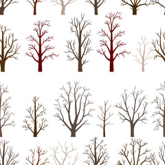 Autumn forest trees pattern. A Woodland background
