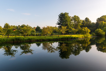 Fototapeta na wymiar Lake in a Park