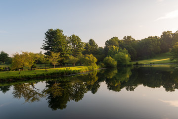 Fototapeta premium A Reflecting Pond