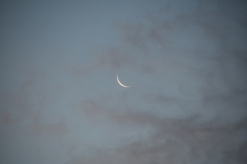 Obraz na płótnie Canvas moon at sunrise