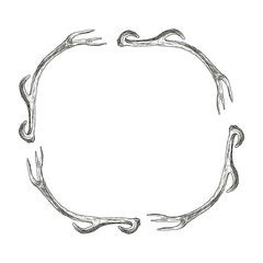 Vector illustration. Hand drawing on a graphic tablet. Frame made of deer antlers.