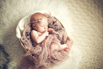 Newborn baby girl sleeping in a basket. Concept shooting newborns, innocence