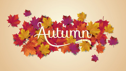 Autumn background layout typography decorate with leaves for greeting promo poster or web banner.Vector illustration template. © Danhood