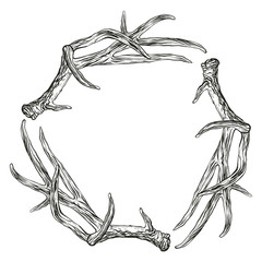 Vector illustration. Hand drawing on a graphic tablet. Frame made of deer antlers.