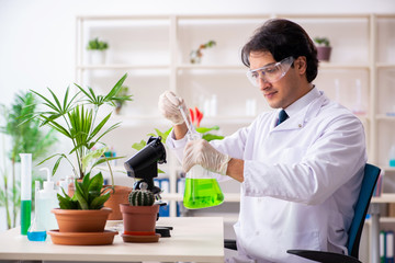Fototapeta premium Biotechnology chemist working in lab