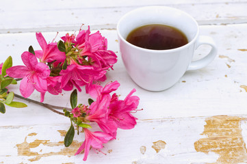 Seamless background. Flowers azalea and cup of coffee. Stylization watercolor.