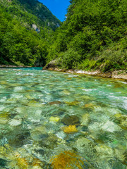 Tara River, Montenegro