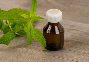 fresh mint leaves and glass bottle with tincture on old wooden table