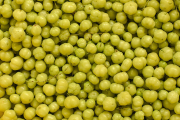 ripe amla in tree yellow color 