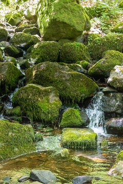 waterfall in japanese garden