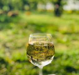 glass of water on grass