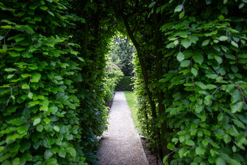 Walkway with green trees in a beautiful garden