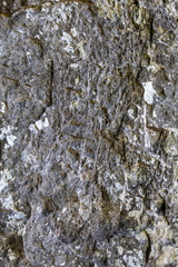 Grayish Old Weathered Natural Stone Texture