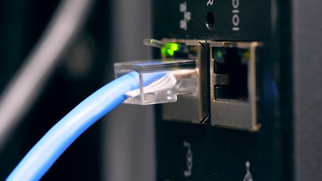 Blue cable plugged to a working computer in a server room.
