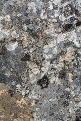 Grayish Old Weathered Natural Stone Texture