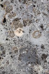 Grayish Old Weathered Natural Stone Texture