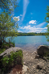 Lake in the Woods