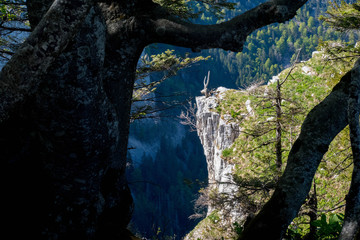 Berglandschaft