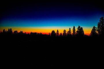 Silhouette Bäume im Sonnenuntergang