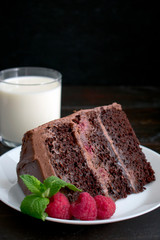 Slice of Chocolate Raspberry Cake