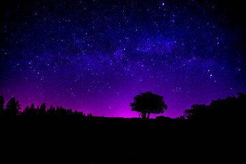 Die Schönheit der Nacht
