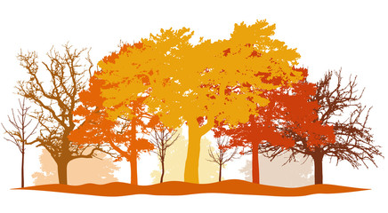 Autumn park, silhouettes of trees and bushes in autumn colors (yellow, orange, brown and others).Vector illustration