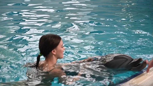 young beautiful brunette woman in a swimsuit swims and plays with a funny cute sea dolphin. Emotional rest in the water park dolphinarium. positive emotions, communication with marine mammals